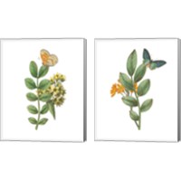 Framed 'Greenery Butterflies 2 Piece Canvas Print Set' border=