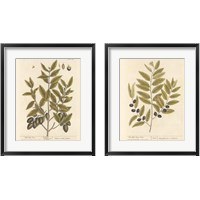 Framed 'Olive Branch 2 Piece Framed Art Print Set' border=