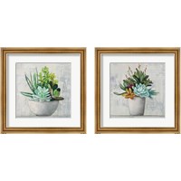 Framed 'Succulent Still Life 2 Piece Framed Art Print Set' border=