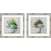 Framed 'Succulent Still Life 2 Piece Framed Art Print Set' border=