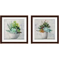 Framed 'Succulent Still Life 2 Piece Framed Art Print Set' border=