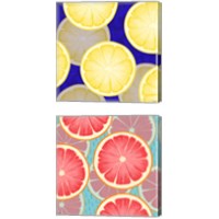 Framed 'Colorful Fruit 2 Piece Canvas Print Set' border=