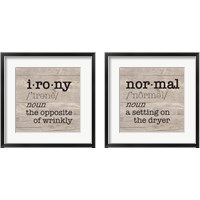 Framed 'Laundry Room Humor 2 Piece Framed Art Print Set' border=