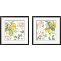 Framed 'Citrus Charm 2 Piece Framed Art Print Set' border=