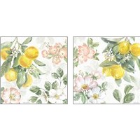 Framed 'Citrus Charm 2 Piece Art Print Set' border=