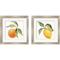 Framed 'Le Citron & Orange on Cream 2 Piece Framed Art Print Set' border=