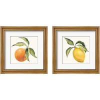 Framed 'Le Citron & Orange on Cream 2 Piece Framed Art Print Set' border=