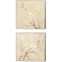 Framed 'White Cherry Blossoms 2 Piece Canvas Print Set' border=