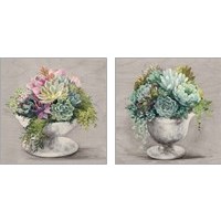 Framed 'Festive Succulents Gray 2 Piece Art Print Set' border=