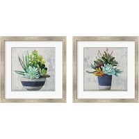 Framed 'Succulent Still Life Navy 2 Piece Framed Art Print Set' border=