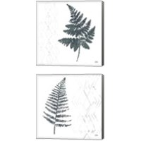 Framed 'Nordic Fern 2 Piece Canvas Print Set' border=