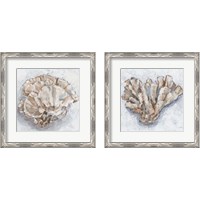 Framed 'Coral Display 2 Piece Framed Art Print Set' border=