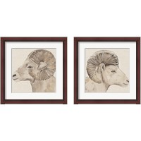 Framed 'Bighorn Profile 2 Piece Framed Art Print Set' border=