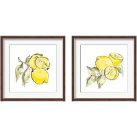 Framed 'Lemon Still Life 2 Piece Framed Art Print Set' border=