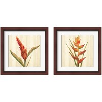 Framed 'Tropical Garden 2 Piece Framed Art Print Set' border=