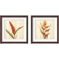 Framed 'Tropical Garden 2 Piece Framed Art Print Set' border=