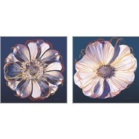 Framed 'Flower Pop Pastel 2 Piece Art Print Set' border=