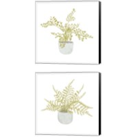 Framed 'Potted Fern 2 Piece Canvas Print Set' border=