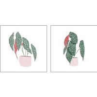 Framed 'Polka Dot Begonia 2 Piece Art Print Set' border=