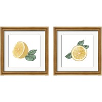 Framed 'Citrus Limon 2 Piece Framed Art Print Set' border=