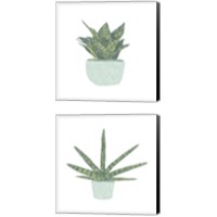 Framed 'Snake Plant 2 Piece Canvas Print Set' border=