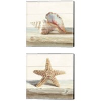 Framed 'Driftwood Shell 2 Piece Canvas Print Set' border=