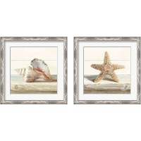 Framed 'Driftwood Shell 2 Piece Framed Art Print Set' border=