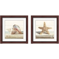 Framed 'Driftwood Shell 2 Piece Framed Art Print Set' border=