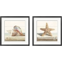 Framed 'Driftwood Shell 2 Piece Framed Art Print Set' border=