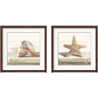 Framed 'Driftwood Shell 2 Piece Framed Art Print Set' border=