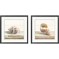 Framed 'Driftwood Shell 2 Piece Framed Art Print Set' border=