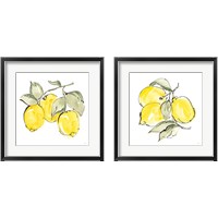 Framed 'Lemons 2 Piece Framed Art Print Set' border=