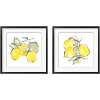 Framed 'Lemons 2 Piece Framed Art Print Set' border=