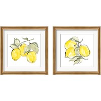 Framed 'Lemons 2 Piece Framed Art Print Set' border=