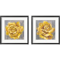 Framed 'Yellow Roses 2 Piece Framed Art Print Set' border=