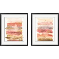 Framed 'Desert Blooms Abstract 2 Piece Framed Art Print Set' border=