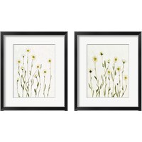 Framed 'White Antique Daisies 2 Piece Framed Art Print Set' border=