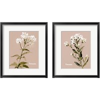 Framed 'White Bonesets 2 Piece Framed Art Print Set' border=