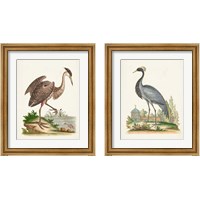 Framed 'Antique Heron & Cranes 2 Piece Framed Art Print Set' border=