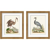 Framed 'Antique Heron & Cranes 2 Piece Framed Art Print Set' border=