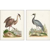 Framed 'Antique Heron & Cranes 2 Piece Art Print Set' border=