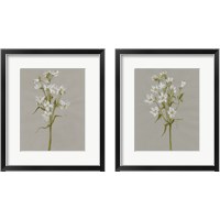 Framed 'White Field Flowers 2 Piece Framed Art Print Set' border=