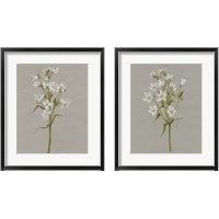 Framed 'White Field Flowers 2 Piece Framed Art Print Set' border=