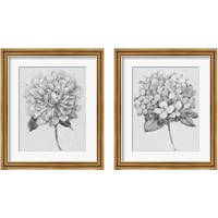 Framed 'Silvertone Floral 2 Piece Framed Art Print Set' border=