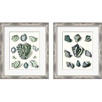 Framed 'Celadon Shells 2 Piece Framed Art Print Set' border=