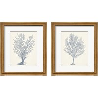 Framed 'Antique Coral Collection 2 Piece Framed Art Print Set' border=