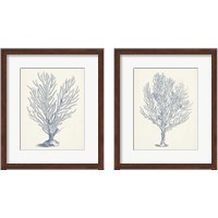 Framed 'Antique Coral Collection 2 Piece Framed Art Print Set' border=