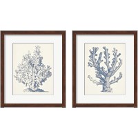 Framed 'Antique Coral Collection 2 Piece Framed Art Print Set' border=