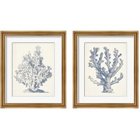 Framed 'Antique Coral Collection 2 Piece Framed Art Print Set' border=