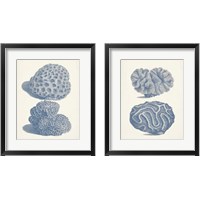 Framed 'Antique Coral Collection 2 Piece Framed Art Print Set' border=